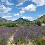 Le Moulin De La Viorne, Avec Piscine Au Coeur De La Nature En Haute-provence Gæstehus