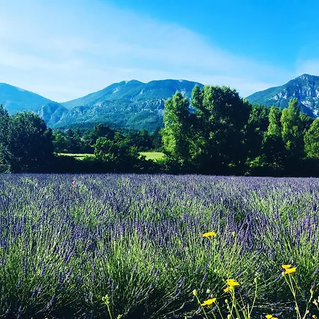 Le Moulin De La Viorne, Avec Piscine Au Coeur De La Nature En Haute-provence Penzion Les Omergues