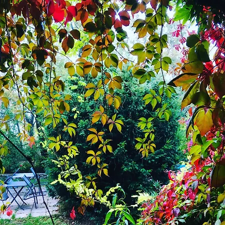 Le Moulin De La Viorne, Avec Piscine Au Coeur De La Nature En Haute-provence Penzion Les Omergues