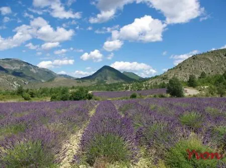 Le Moulin De La Viorne, Avec Piscine Au Coeur De La Nature En Haute-provence Penzion