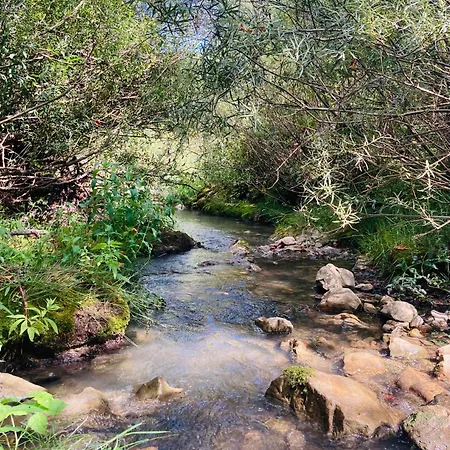 Le Moulin De La Viorne, Avec Piscine Au Coeur De La Nature En Haute-provence 3* Les Omergues