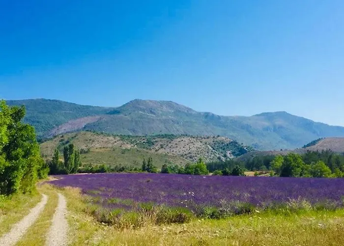 Le Moulin De La Viorne, Avec Piscine Au Coeur De La Nature En Haute-provence Guest house 4*