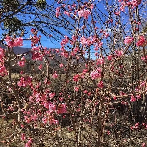 Le Moulin De La Viorne, Avec Piscine Au Coeur De La Nature En Haute-provence Guest house Les Omergues