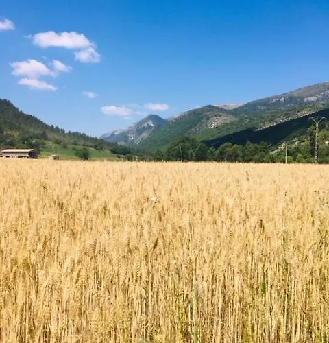 Guest house Le Moulin De La Viorne, Avec Piscine Au Coeur De La Nature En Haute-provence 4*