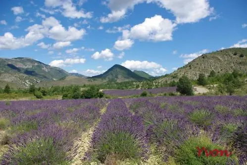 Le Moulin De La Viorne, Avec Piscine Au Coeur De La Nature En Haute-provence Guest house