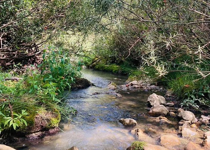Le Moulin De La Viorne, Avec Piscine Au Coeur De La Nature En Haute-provence 4* Les Omergues